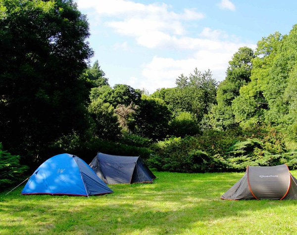 Driving License Maker In Kolkata About Camping