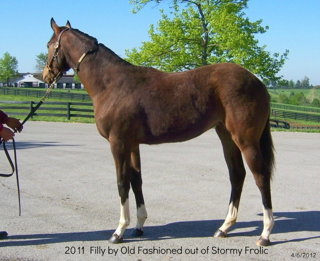 confirmation of this yearling