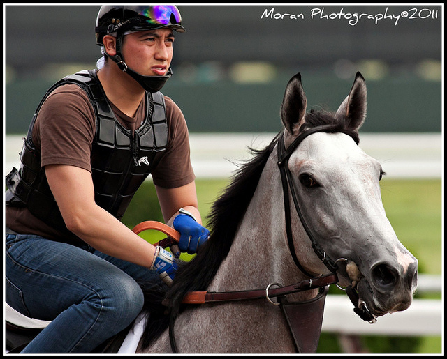 ring head noseband