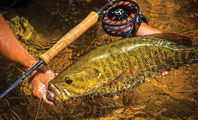 the season, smallmouths, bass, summer, topwater, smallies, fishing