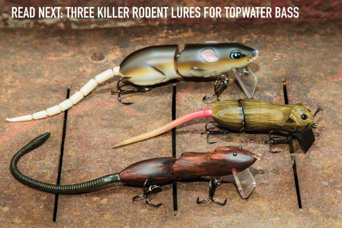 mouse lures, rat lures, bass fishing mouse lures, rodent lures, fishing, 