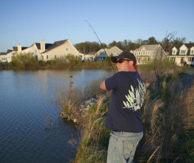 fishing suburbs, suburb pond, pond fishing, 
