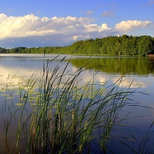 Lake Fishing