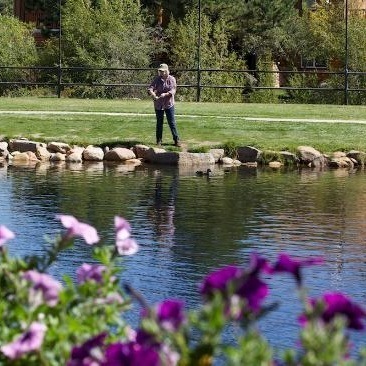 Fishing in a Pond