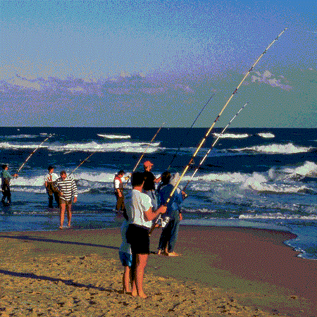 Surf Fishing Anglers