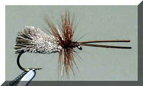 mrfc-Goddard Caddis.jpg