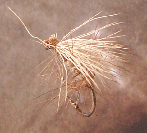 elkhaircaddis.jpg