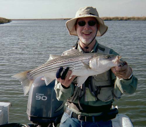 Bill's Striper.jpg