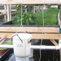 Aquaponics Bell Siphon Pump  -  Aquaponics Basics