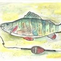 Yellow Perch Fishing Tips