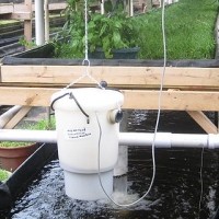 Aquaponics Questions