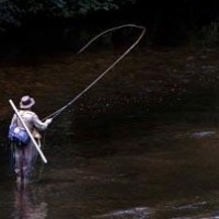 Learn How to Fly Fish– What Equipment Do You Need