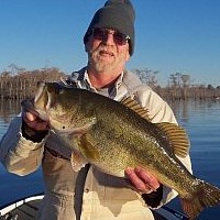 What Are Good Baits for Catching Bass?