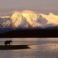 Alaska Fishing Adventures