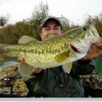 Fly Fishing for Bass And their Behavior