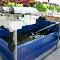 Aquaponic Requirements