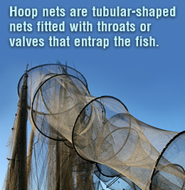 Fact about Hoop nets