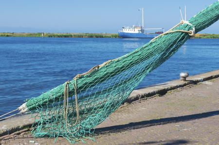 Bottom Trawl