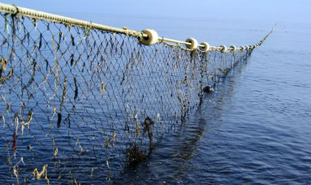 Seine Net