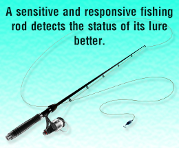 Things to remember while buying a fishing rod