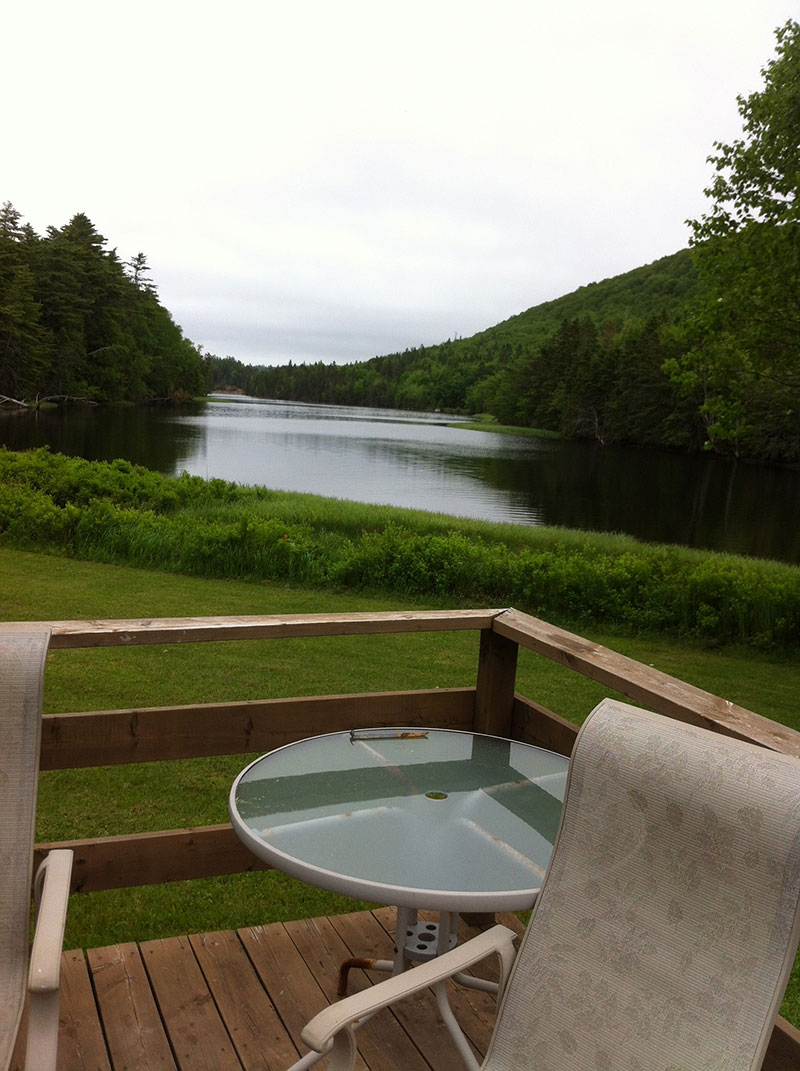 View from the deck of the river.