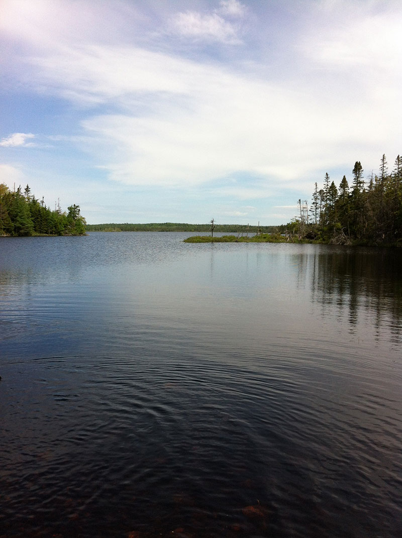 Opening into Goldbrook Lake