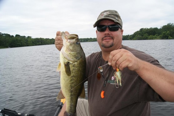 bass caught on a spinnerbait