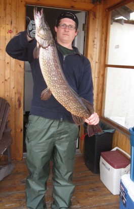 Trophy Northern Pike at Lady Evelyn Lake.