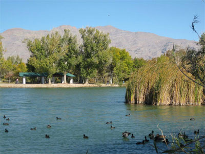 tule springs