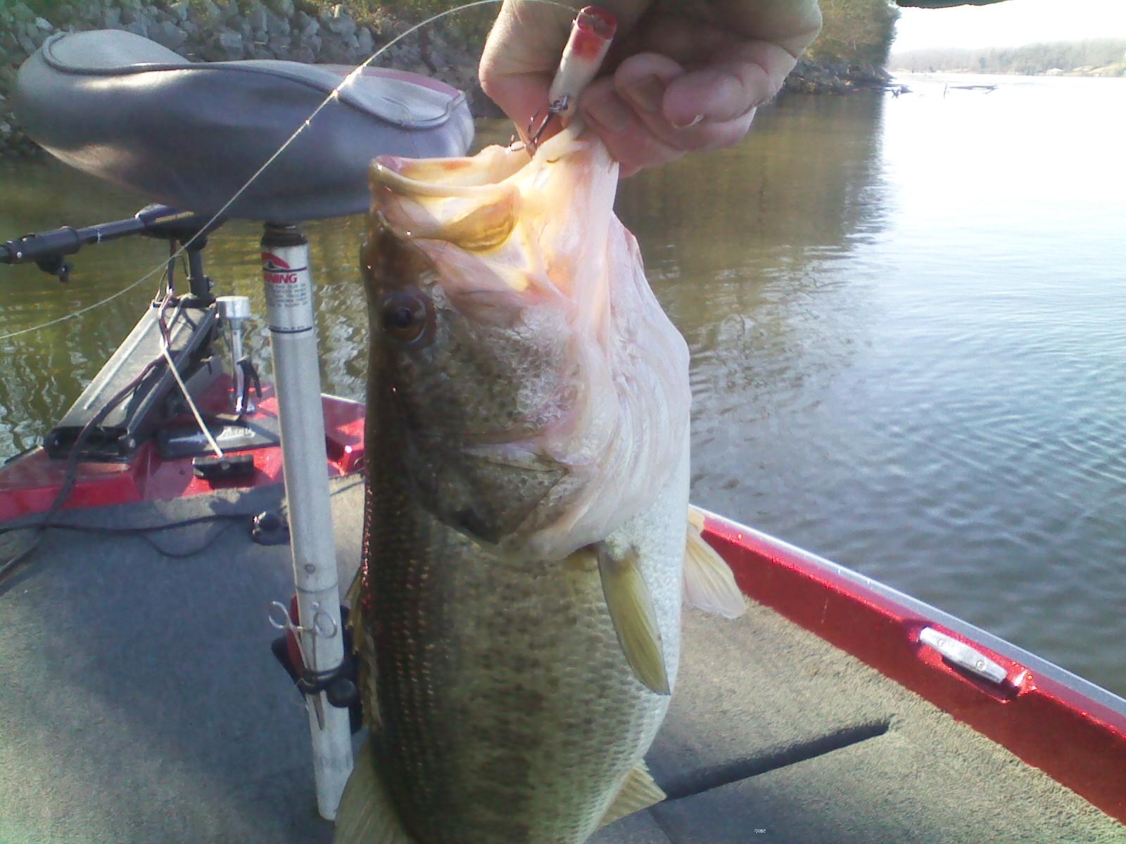 Bass caught in January