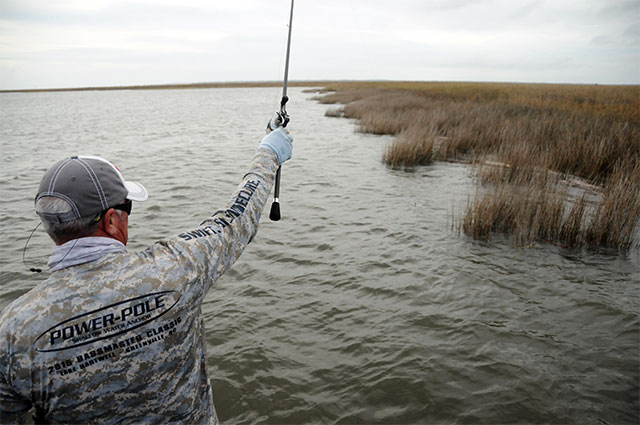 catching redfish on high tide pitching