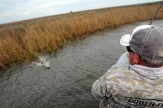 catching redfish on high tide tharp boat flip