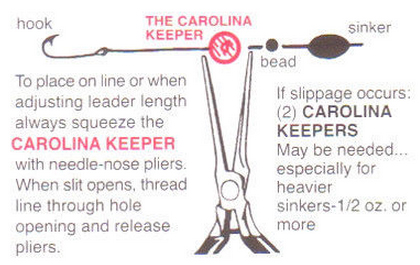 It doesn't get much simpler. Image courtesy Carolina Keepers.