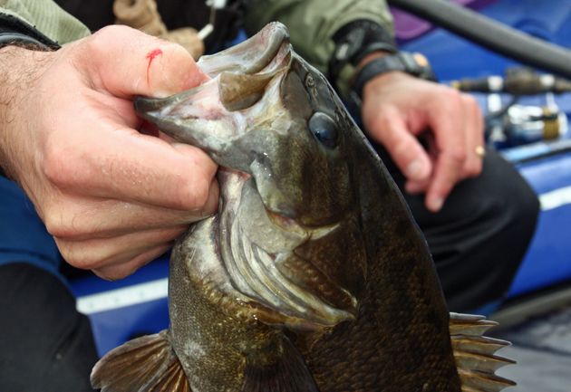 Here's the catch that keeps Jeff Little going through the cold of winter.