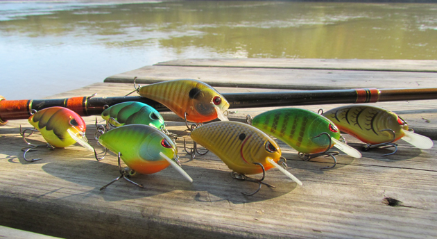 Smallmouth candy: square bill crankbaits can create exciting reaction strikes. 