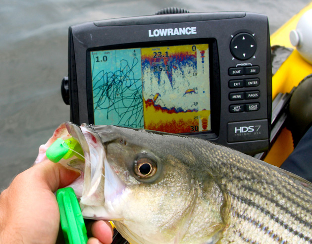 Sight fishing with a depth finder is a little bit video game, a little bit structure reading, and all adrenaline rush once you understand what you are looking at.