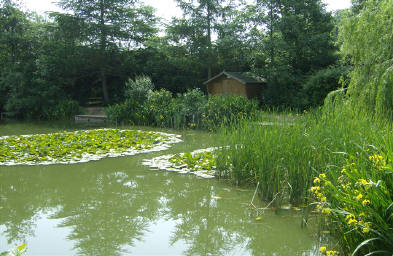 home farm fishery