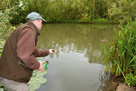 Deadly prebaiting Prebaiting is a useful tool in summer, providing it is used correctly. It is particularly useful in very big waters with low stock densities, because it increases the frequency with which fish visit particular areas. But to make the most of it you need to try to predict how the fish will respond. It works best over a period of several days or even weeks, and if bait can be introduced at the same time every day. Where natural feeding spells are typically at dawn and dusk, bait introduced at mid-morning may not be found until the evening. By choosing a suitable time, and introducing bait on a daily basis, fish will build up a pattern of behaviour that ensures they are in the area anticipating the arrival of their daily feed. It needn’t involve huge quantities of bait. A pint of micro-pellets or maggots sprinkled over gravel in the margins can have fish rooting around for hours, and done regularly will ensure fish visit frequently. You will be able to tell by the appearance of the gravel whether fish have been in and fed, and you may even be able to watch the fish feeding. A single bait introduced into the right area when the prebaiting has been carried out stands a good chance of picking up a fish.