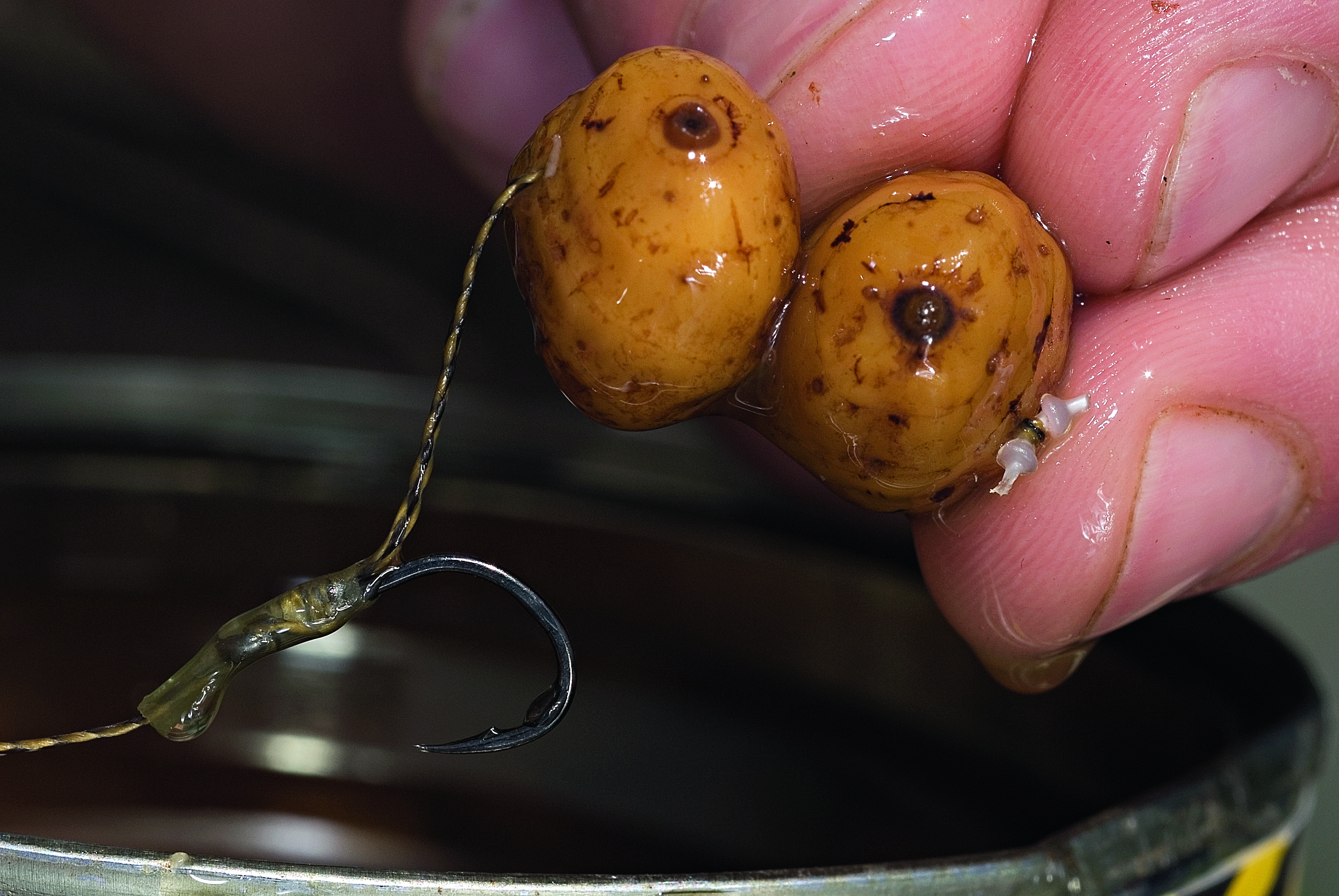 Tiger nuts are a superb bait, just ensure that they have been prepared properly!
