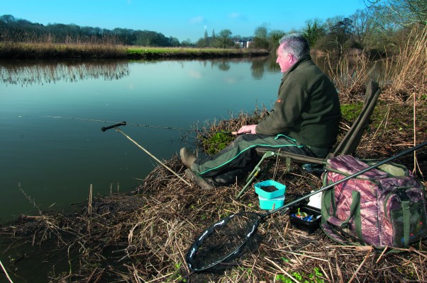 River perch-1