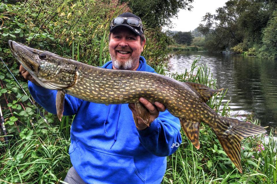 This was on an unseen bit of river on a new lure fished Texas-style... if you don't try these things you'll never learn (Texas-style - google it!)