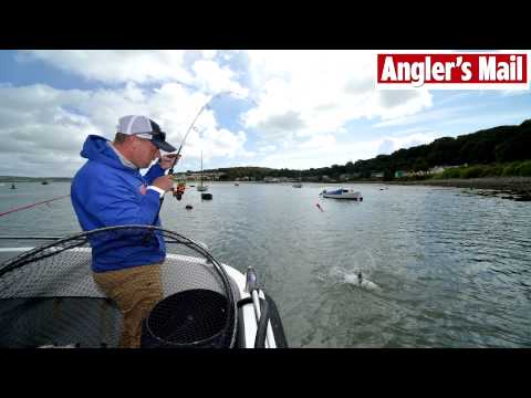 Sea fishing paradise tackled by Steve Collett (video)
