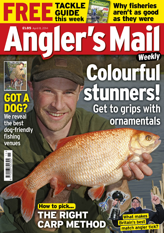 THERE'S A BRILLIANT FREE CHAPMANS BROCHURE WITH THIS WEEK'S ANGLER'S MAIL MAGAZINE!