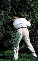 Backswing