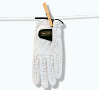 Gloves Out To Dry