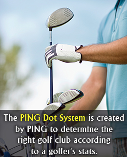 Fact about PING dot system