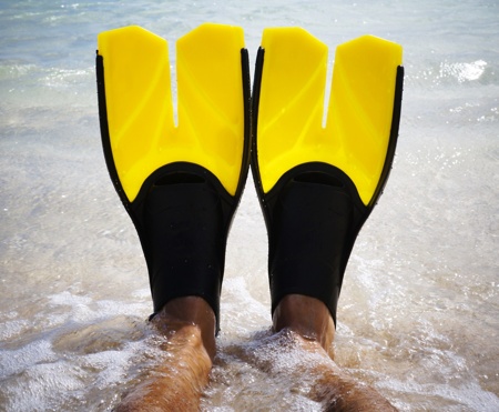 split swim fin