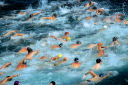 triathletes swimming