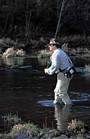 Jeff Guerin fishing for a trout.