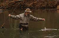 Jeff Guerin (fishing guide) landing a trout.